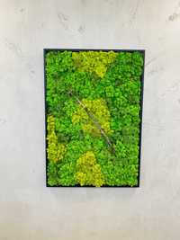 Tablouri din licheni decorativi | 100x80cm |rama neagra