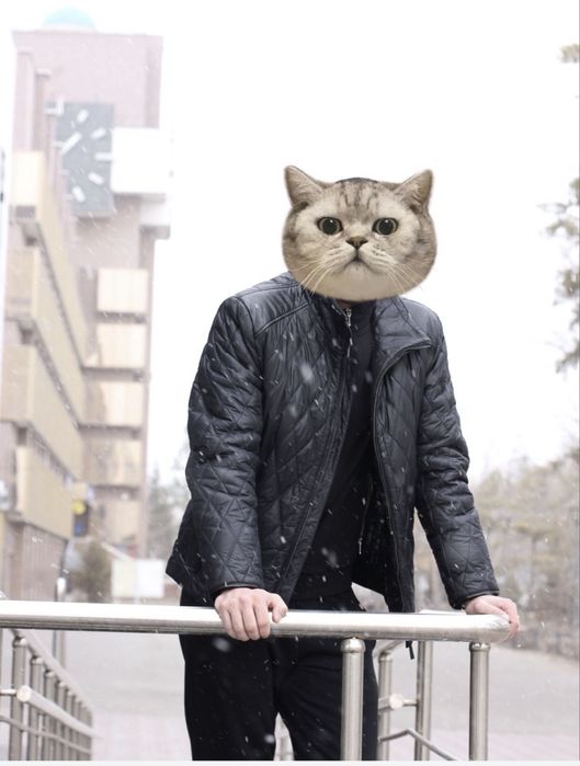 Куртка зимняя мужская с натуральным норковым воротником