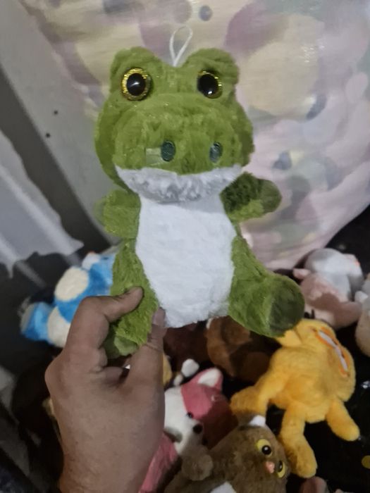 Onchoqlar optim narxda