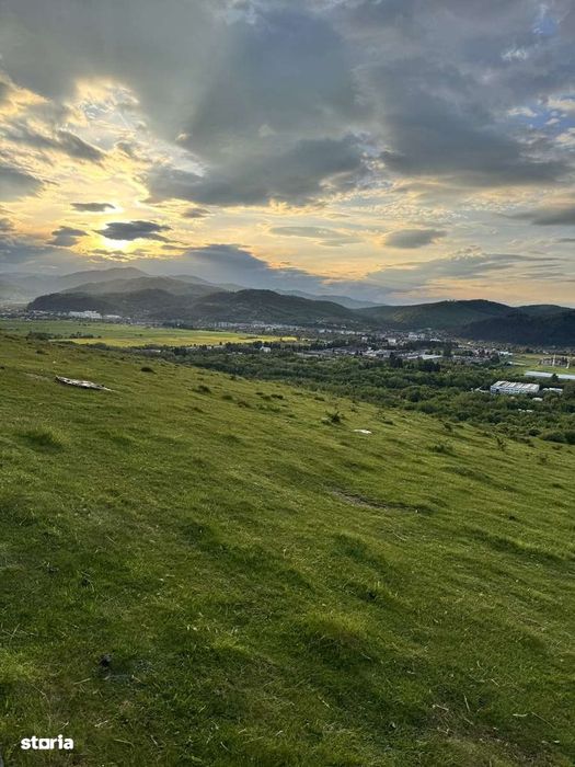 Vand teren pe Muscel