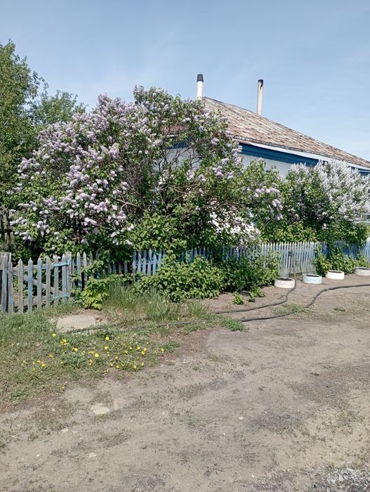 Продам дом в селе Луганск