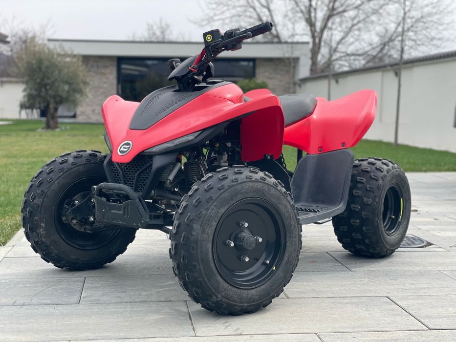 Atv cf moto 110