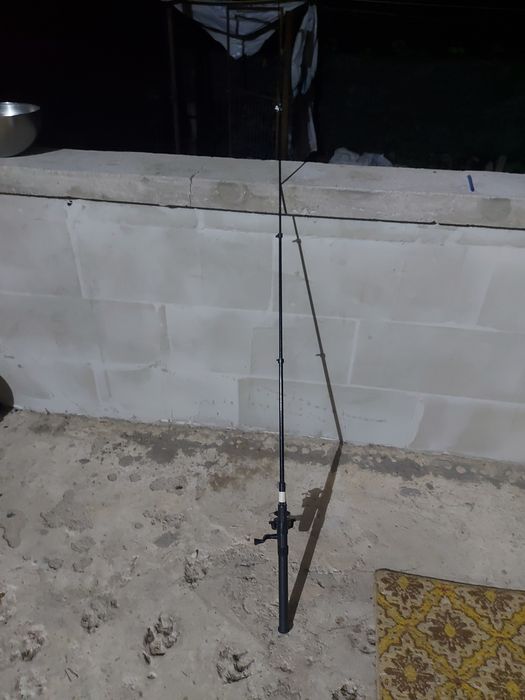 Undita de 1,68m lungimea