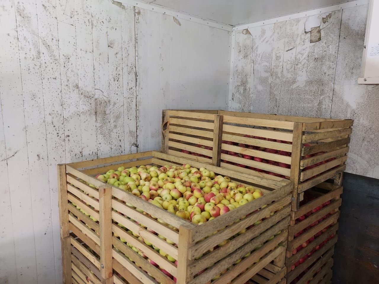 Продам ящики для хранения фруктов и овощей