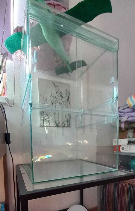 Terariu pentru cameleon, soparle, etc.