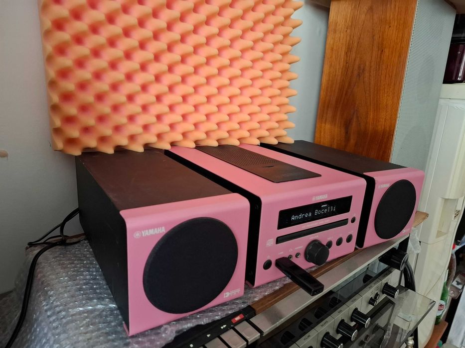 Розова принцеса-yamaha crx-040