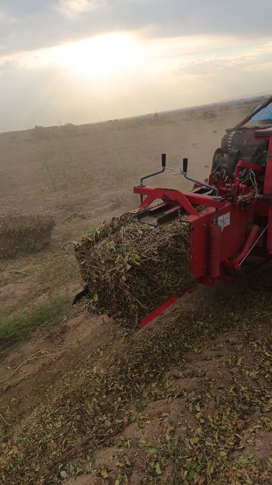 Ekalasini sotaman 60 mlin diyabman kami bor