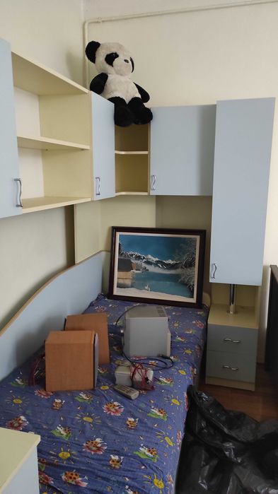 Tablouri pictate manual