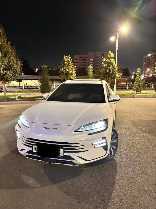BYD Champion Gibrit
