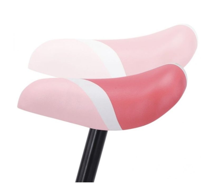 Колело за баланс Lorelli - Fortuna, light & dark pink