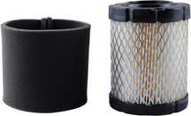 FILTRU AER BRIGGS & STRATTON 5429K COD - 591583 | 796032 Nou Sigilat
