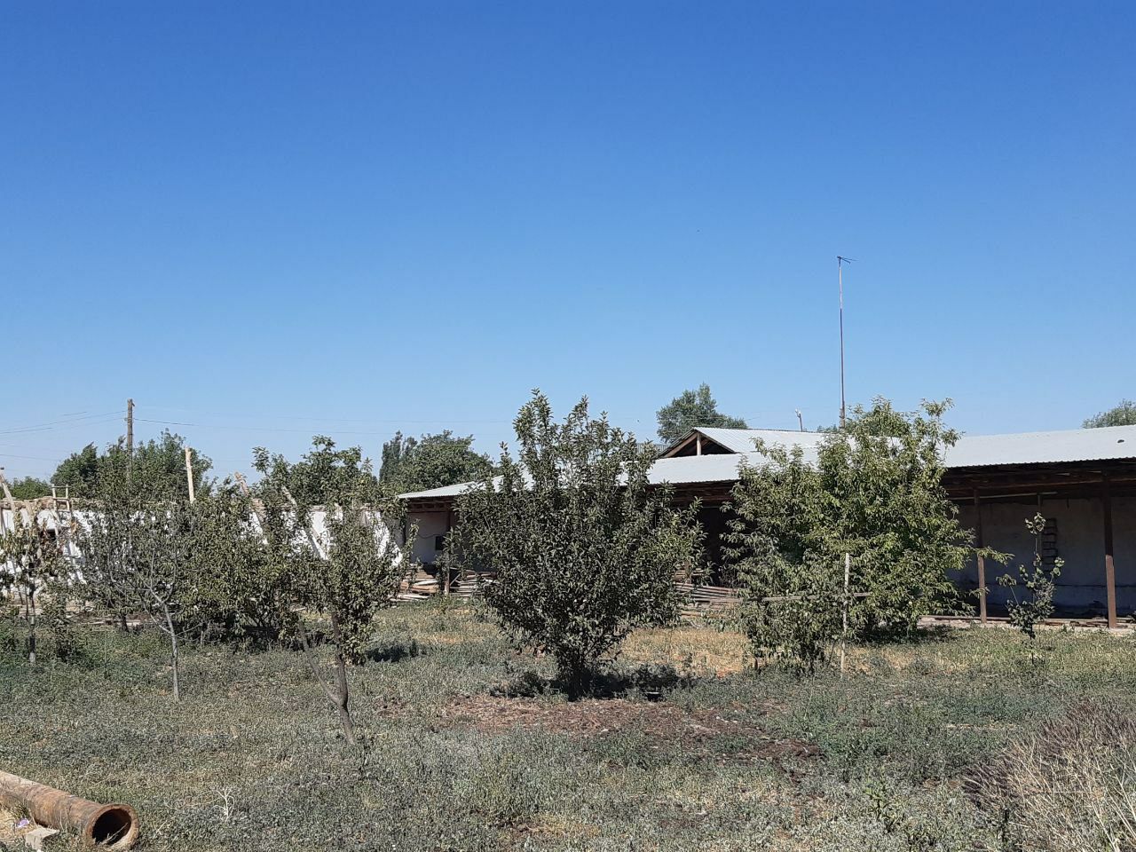 Yangi Uzbekistan yer sotiladi 25 sotix