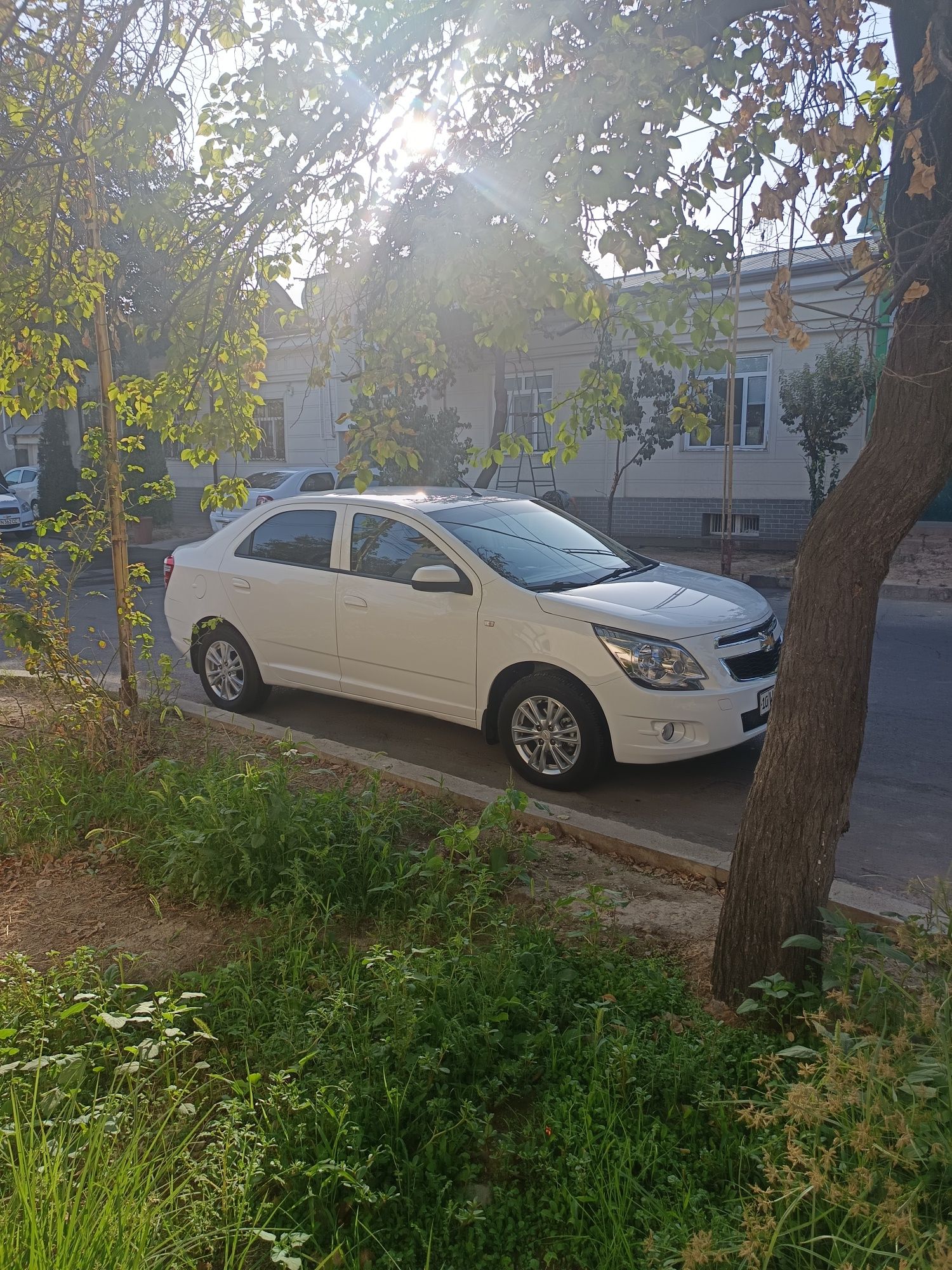 Cobalt avtomat kraskasi toza