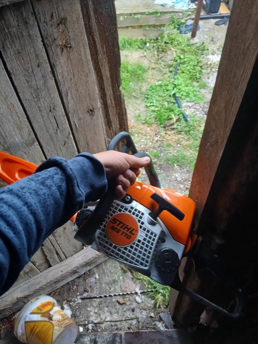 Drujba STIHL MS170