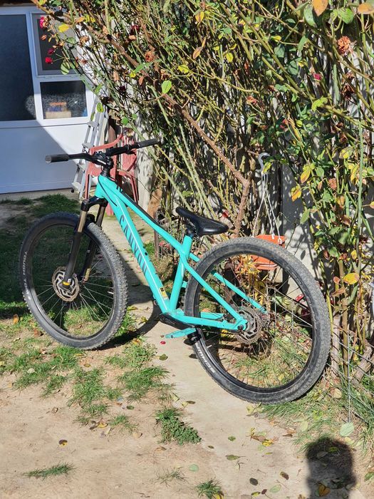 Canyon Grand Canyon Al