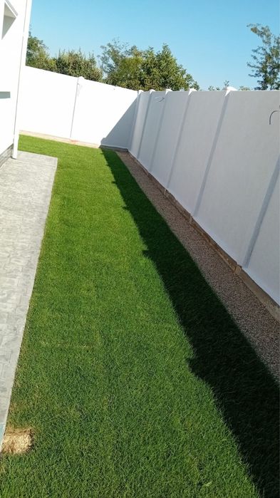 Gazon rulou calitatea 1