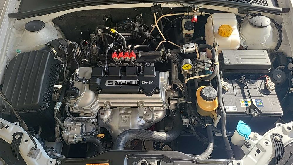 Jentra elegant plyus 2019