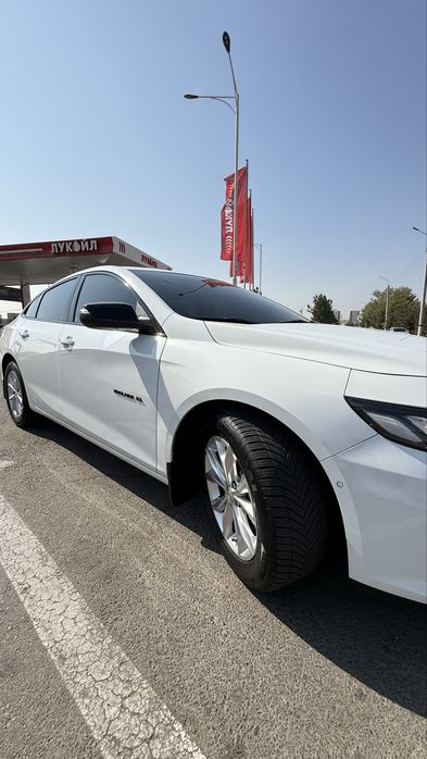 Malibu XL Full Oq rang
