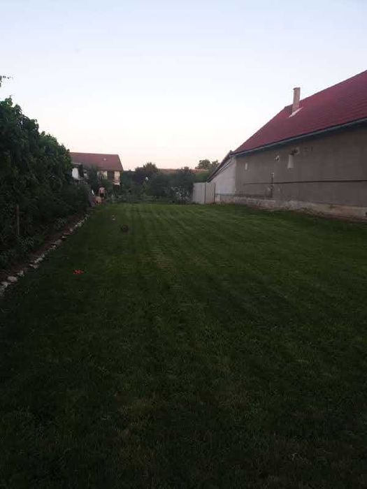 Vând teren intravilan Vladimirescu