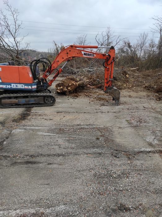 Услуга с мини багер 3т дренажи ями основи изкореняване на дървета