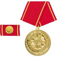 Medalie Militara FUR 20 JAHRE Minister Aurie RDG - Surplus Militar