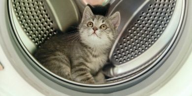 Ремонт стиральных машин автомат с выездом на дом