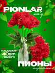 Инфографика для Uzum Market, Wildberries - Infografika