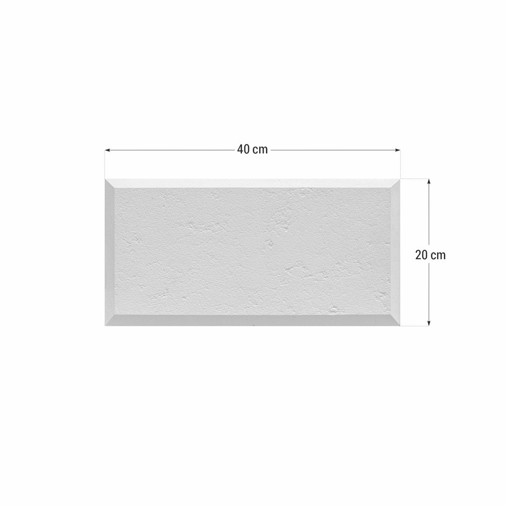 Piatra placare decorativa Roma 40x20x2 cm