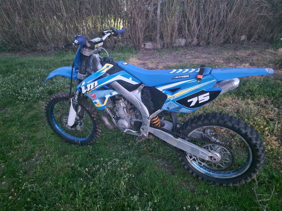 2008 TM En 250 F