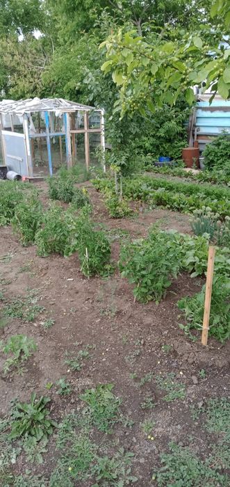 Дом  42- Разъезд