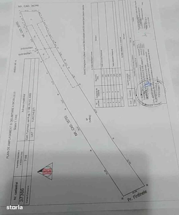 Teren intravilan+extravilan