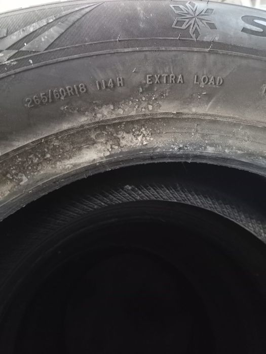 Зимние шины triangle