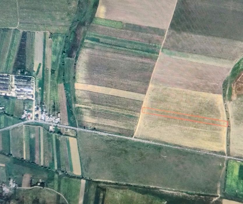 Vand pamant extravilan 1ha in Bozieni - Neamt