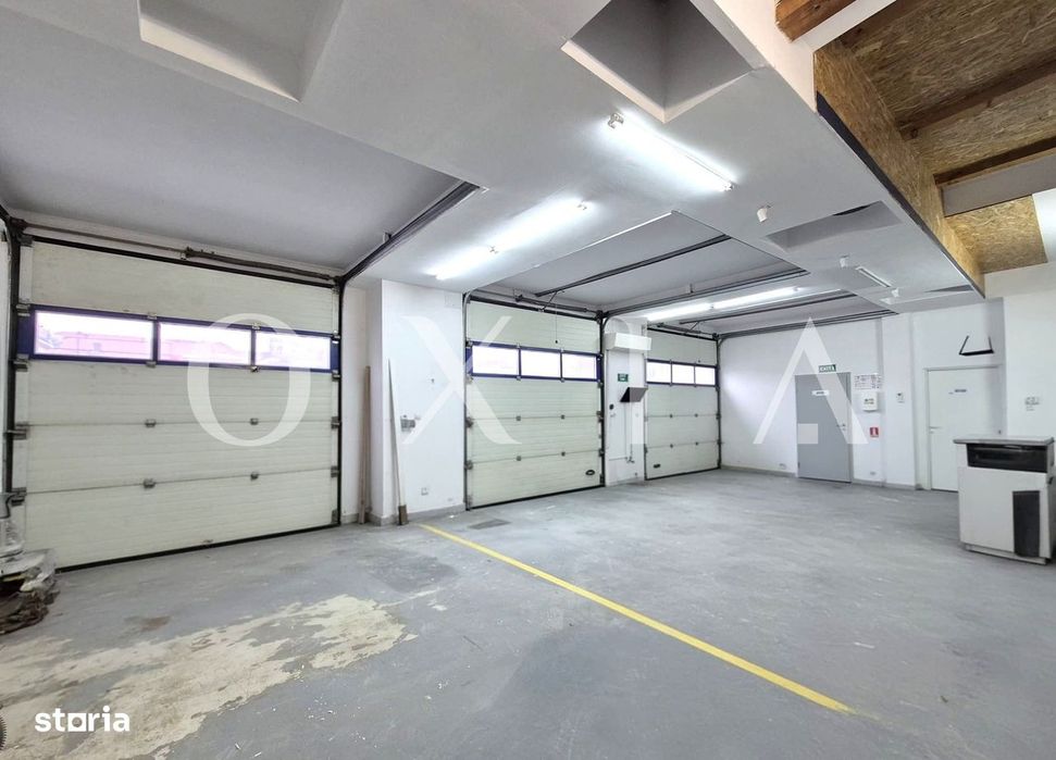 AX1154 Elisabetin, Hala Industriala Pentru Diferite Activitati