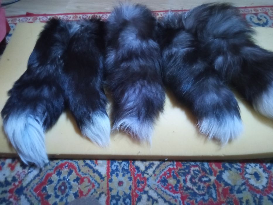 Хвосты чернобурки