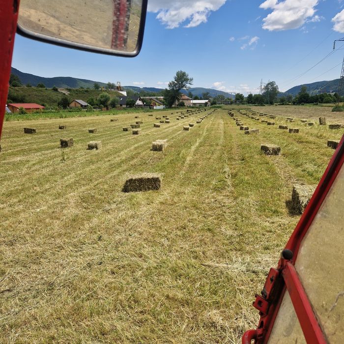 Baloti fân și lucerna
