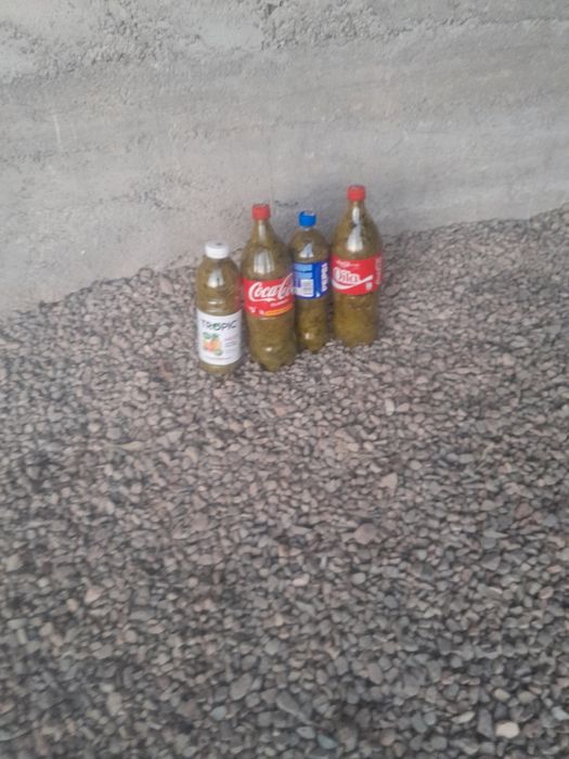 Tuzlangan tok barglari sotiladi