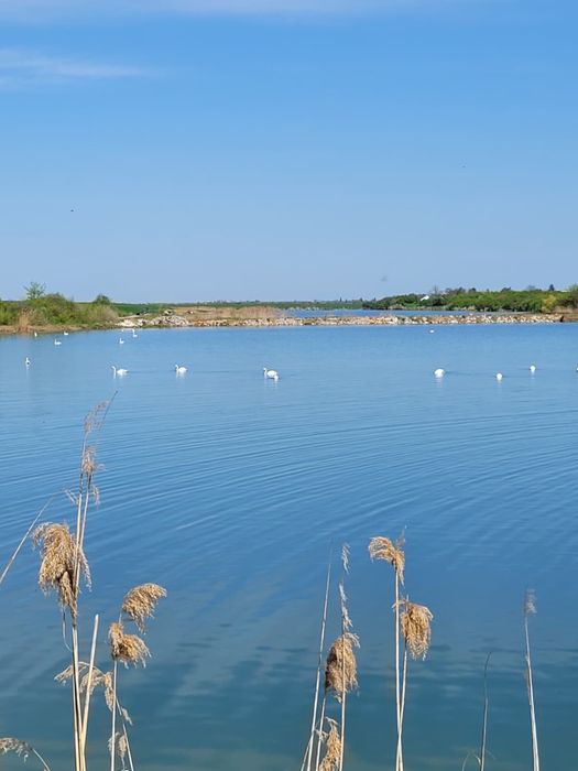 Teren intravilan situat pe malul lacului