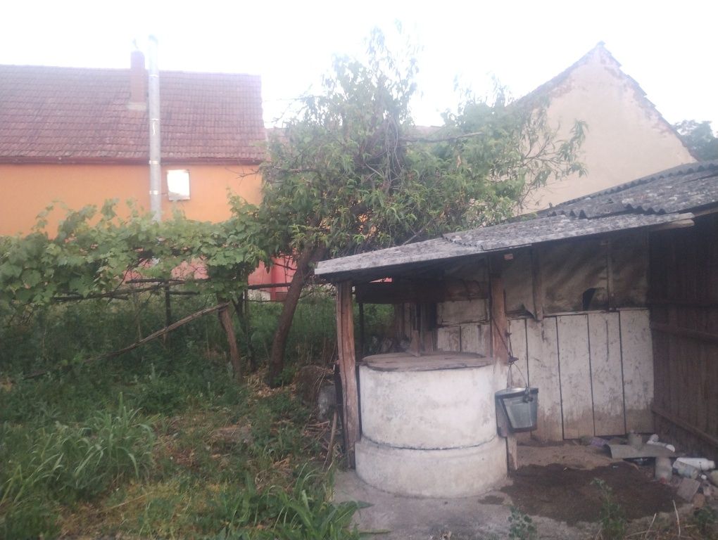 Casa de vinzare preț negociabil