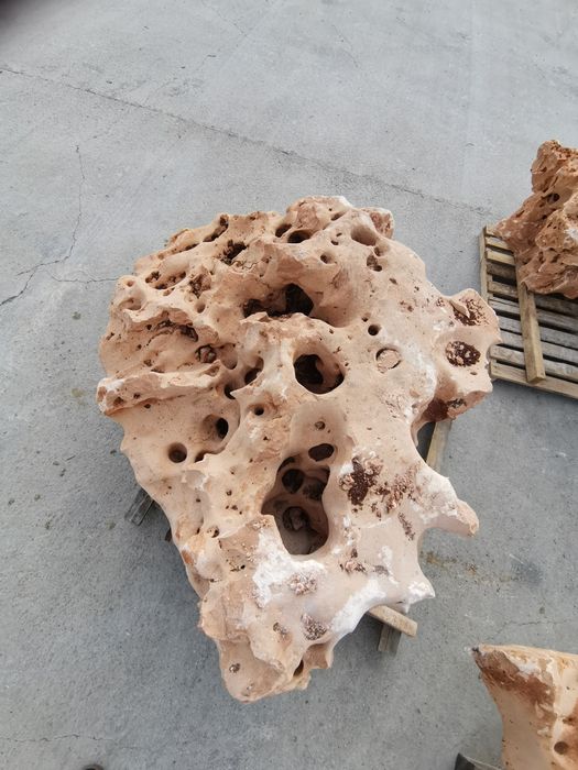 Bolovani ornamentali