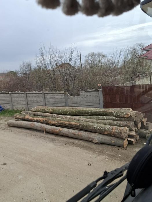 Lemn foc fag, stejar , carpen , salcâm