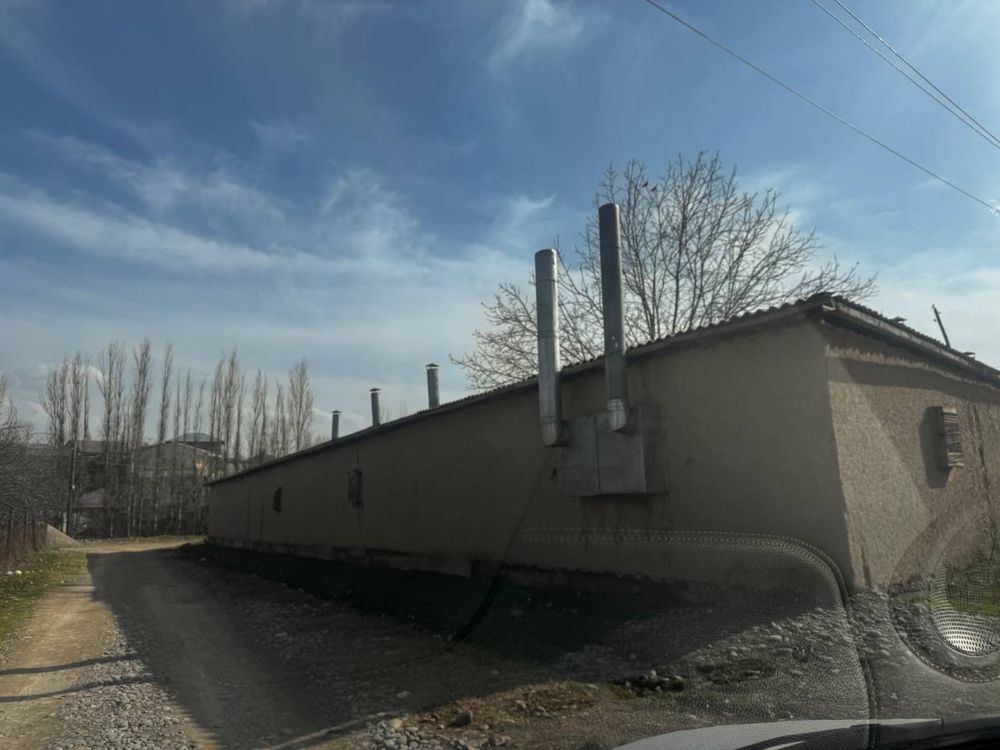 Uy hovli-ferma tayyor biznes Toshkent, Yangiyölda, öqing