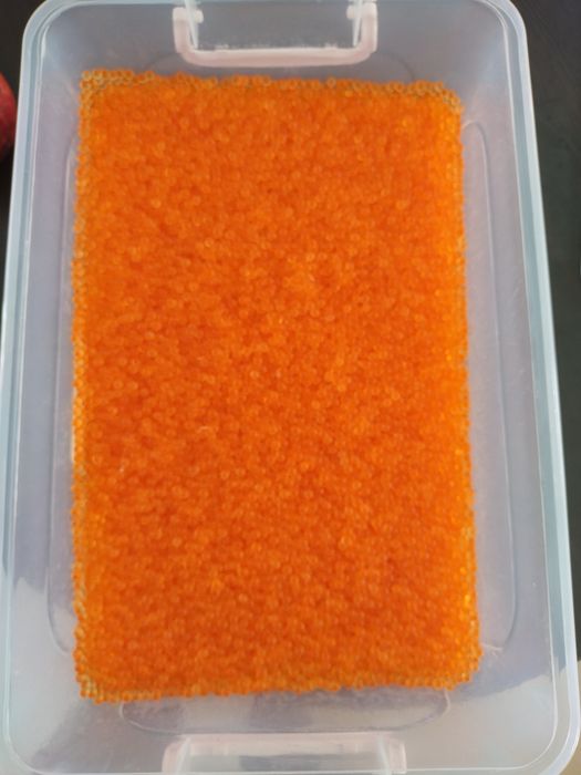 Icre de păstrăv curcubeu