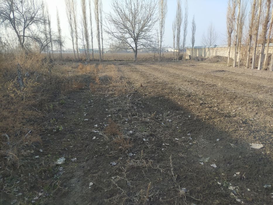 Yer uchastka sotiladi. Naxtga. Hujjatlar hammasi joyida. 6 sotix