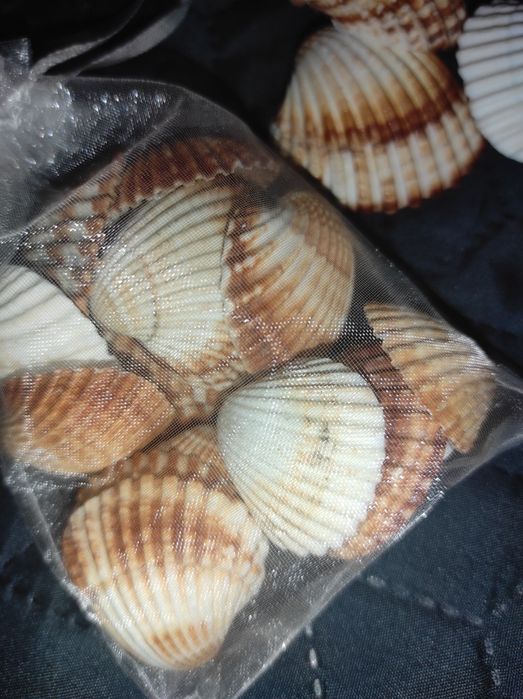 Сувенирна торбичка с миди от Средиземно море