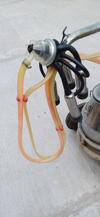 Mulgatoare vaci 1 post