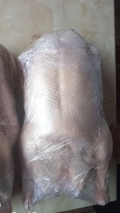Свежие тушки гусей
