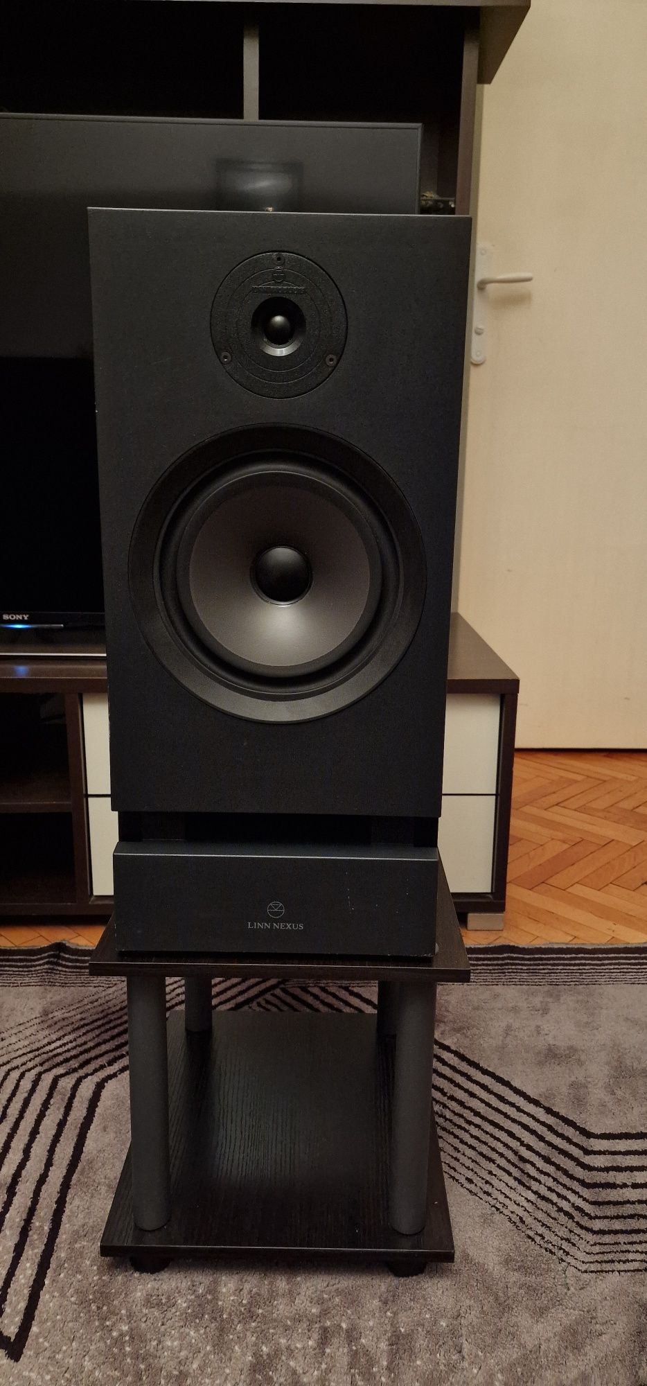 Linn nexus ls 250