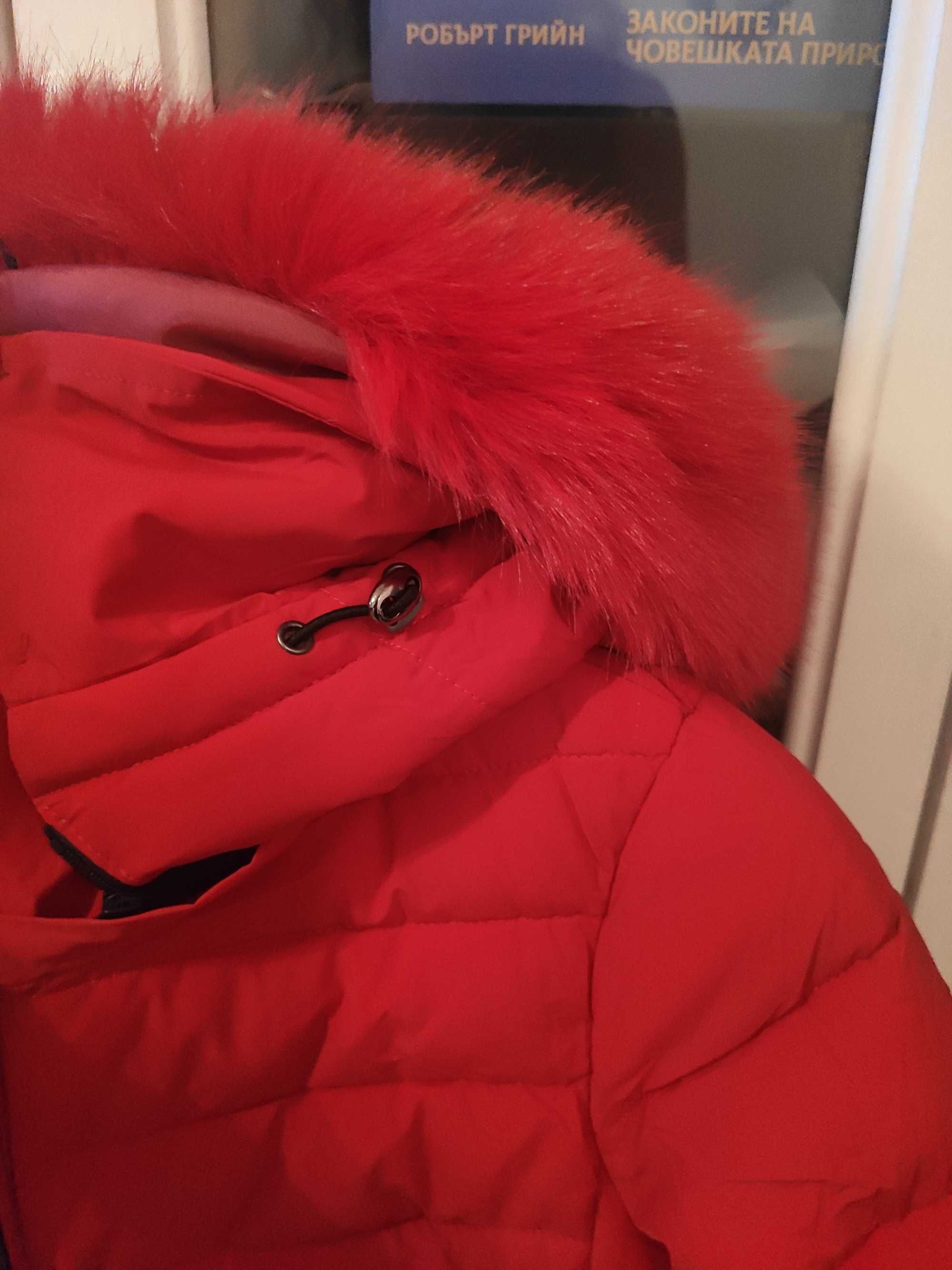 Дамско червено зимно яке