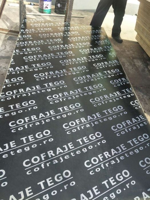 Placaj tego 18mm import direct